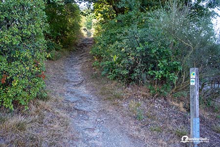 Wanderweg Rursee