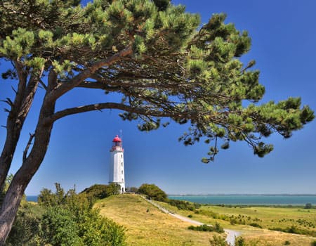 Leuchtturm mit Baum und Meer im Hintergrund