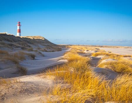 Leuchtturm in den Dünen am Meer