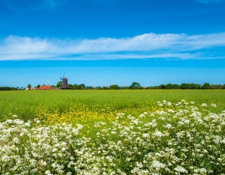 Blick über die Felder auf Fehmarn - Landkirchen