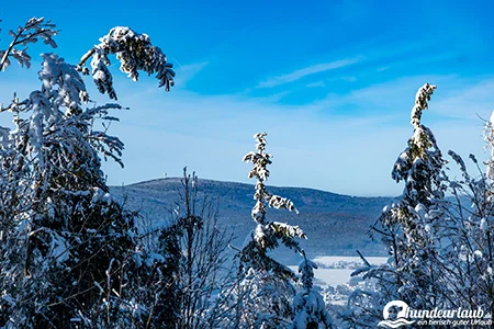 Koesseine Schneeberg Blick