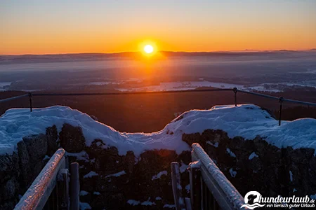 Ruine Weissenstein Sonnenaufgang