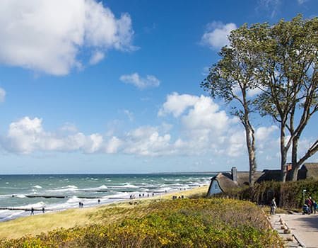 Strand von Ahrenshoop