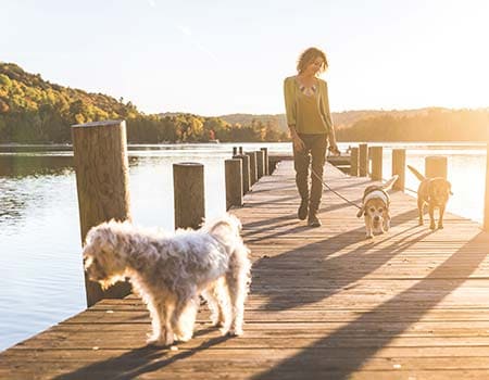 Frau mit drei Hunden am See