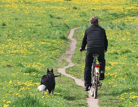 Mann mit Hund am Fahrrad