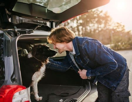 Hund im Auto mit Herrchen