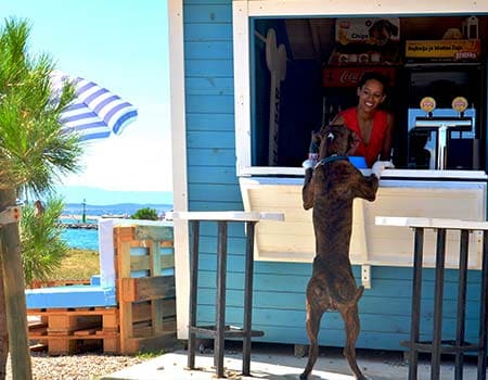 Montys Dog Beach Bar