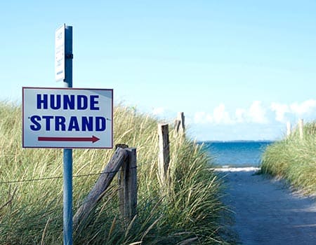 Hundestrand-Schild am Strandeingang