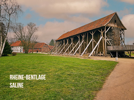 Rheine Saline