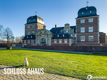 Schloss Ahaus Hund