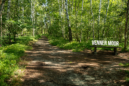 Venner Moor Wandeerweg