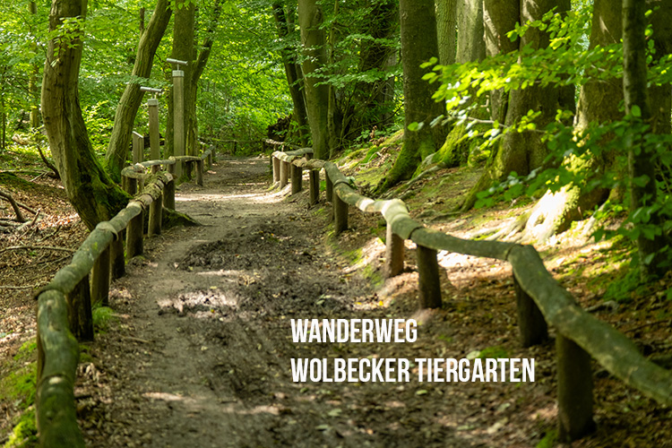 Wanderweg Wolbecker Tiergarten