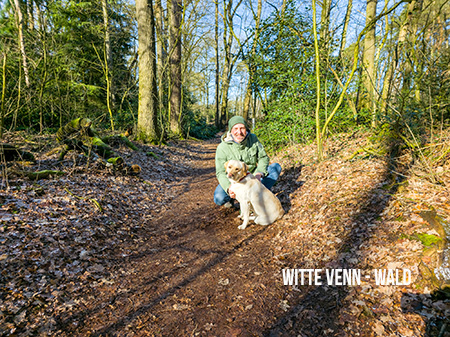 Witte Venn Wald