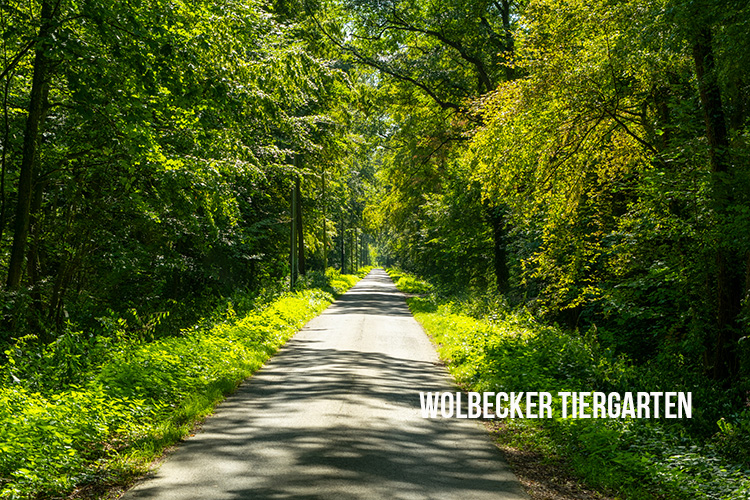 Wolbecker Tiergarten