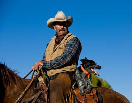 Cowboy mit Hund auf Pferd