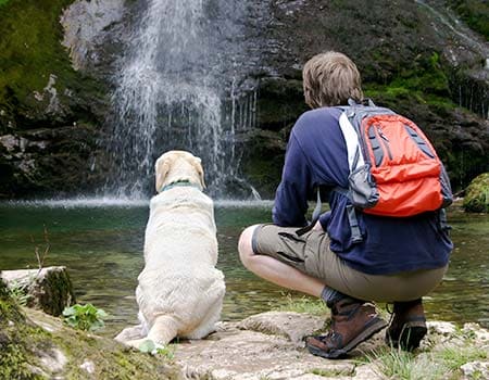 Salzburg mit Hund