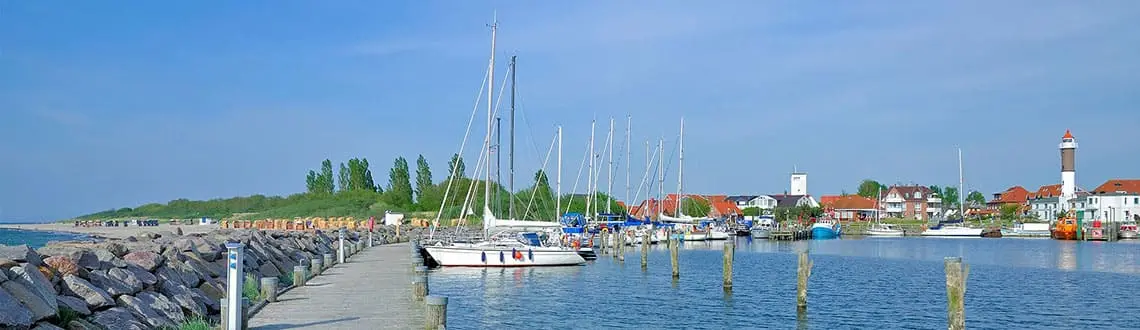 Reisführer Insel Poel mit Hund