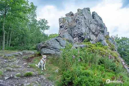 bruchhauser steine hund