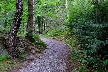 Weg zu Bruchhauser Steine