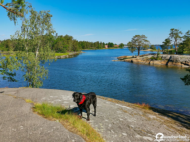 Hund Schweden Schaeren