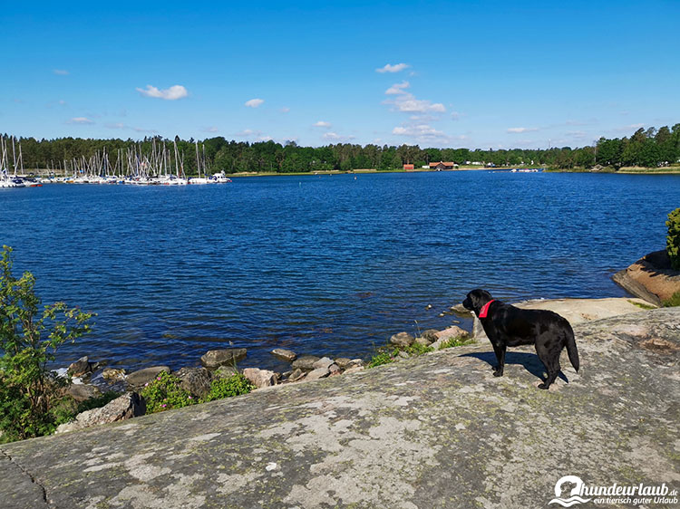 Hund Schweden See