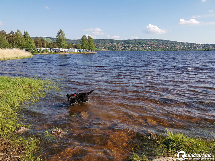 Schweden Hund See